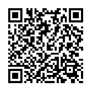 想破脑汁也要将这些大龙虾和大螃蟹给红烧了的二维码生成