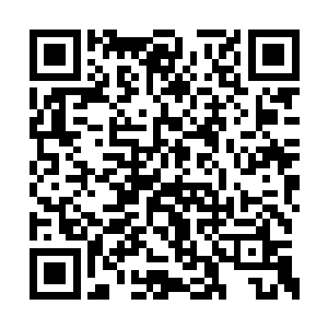 想要从妖族的口中问出一些东西来当真是不容易二维码生成