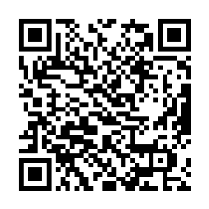 想要凭借宗门那些天尊长老组队斩杀乘万里是不可能了二维码生成