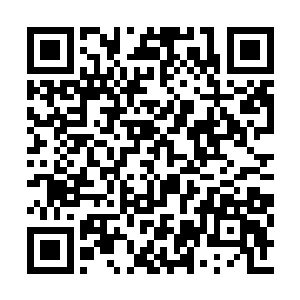 想要在这个世界上留下点什么东西证明自己来过二维码生成