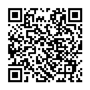想要把他体内一次又一次沸腾到顶点的戾气给排解压下二维码生成