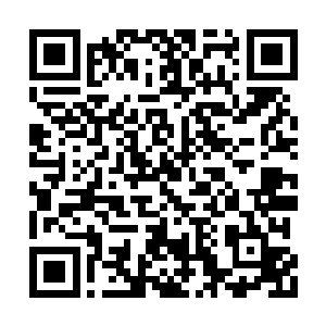 想要突破到金莲七品怕是需要五千多万颗仙元丹二维码生成