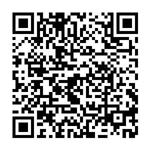 想要让脱离野人没多久的原始战士们现在就体会到政治的虚伪还有不小的难度二维码生成