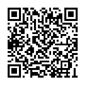 想要阻止那批天材地宝和神丹落入千魂魔尊手中二维码生成