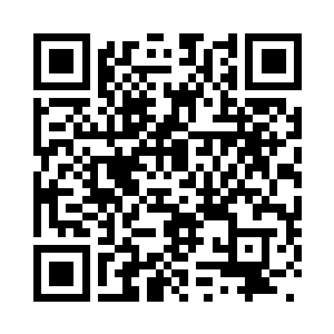 想要靠马老一个人鉴定显然不现实二维码生成