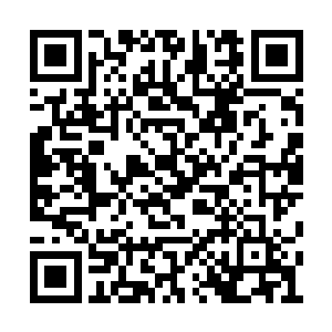 想起秦洛在自己身上涂那鬼东西让自己生不如死二维码生成