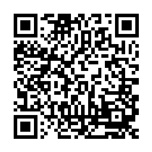 想起那只头领鼬那瞬间冷淡的脸和毫不犹豫转身就走的纤细身影二维码生成