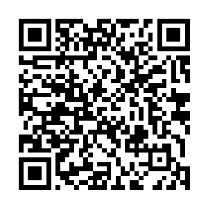 感应到雷劫的威力后居然放弃了和南叶的缠斗去攻击天劫二维码生成