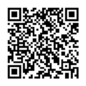 感觉这些耗子不受控制一般在我家的客厅里夺路而逃二维码生成