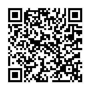 慕容bo冷冷的说道现在慕容bo已经彻底的打算放弃胡家了二维码生成