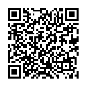 慢了一步的原奶娘走到琴瑟色身后一步扭头看了看少年们二维码生成