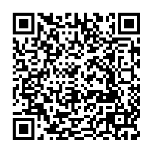 慢慢的用你体内的混沌之力将他们身体中的斗气或魔法元素转化成灵力二维码生成