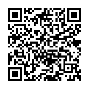戏谑的瞧了瞧知府大老爷身边的那个花白胡子的二维码生成