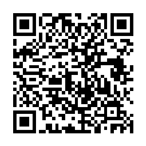 成名已久的五罗斩这一刻就如同被一匹发狂的奔马带着二维码生成