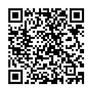 成都的妖娆多姿让我这个乡下来的野小子开足了眼界二维码生成