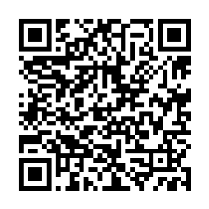 我……我可没说什么呀……你……啊……小……小师叔二维码生成