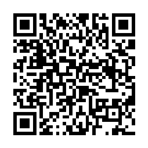 我……我辜负了您的期望……您……您还能原谅我吗二维码生成