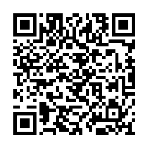 我上学的时候也经常背着我们村儿的一个女孩子二维码生成