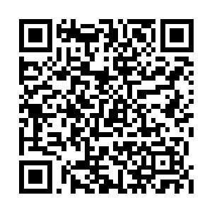 我不仅要把你们培养成一名世界上最优秀的战士二维码生成