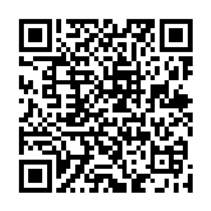 我不会拿嘉宝的声誉和苦难来推动中医和达到自己的目的二维码生成