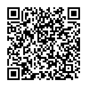 我不明白为什么还会有这么多人觉得你比我更适合当大周王朝的皇帝二维码生成