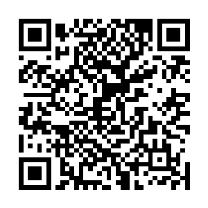 我不是请先生专门教导他们学习如何分解拆卸海兽的技能么二维码生成