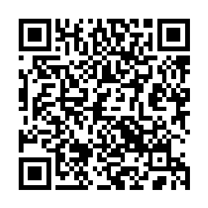 我不知道你会不会帮我守护这片海域直到我的神格移交结束二维码生成