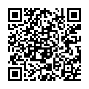 我不能放弃我旗下那些还在海角星奋战中的战士……我赞成增援二维码生成