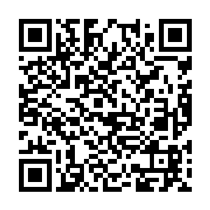 我主动搀扶上他力求让其在这山脉间走的轻松一些二维码生成