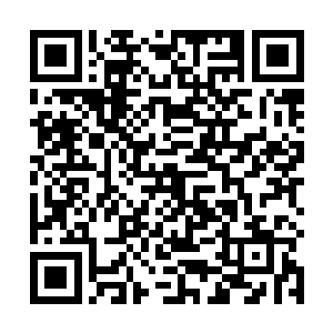 我九尾天狐一族岂是那些人类粗浅认得的山野小妖可比二维码生成