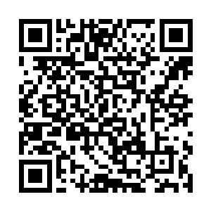 我也不知道是不是……左丘师伯约见师叔在截教方向二维码生成