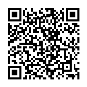 我也不需要耗费很多时间再来思考战斗这个事情了二维码生成