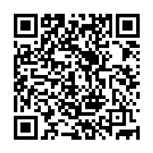 我也会让蔡爷爷用这些股份成立一个基金会的……二维码生成