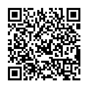 我以为只有从万人尸骨上踏过去的人才能拥有这种杀气二维码生成