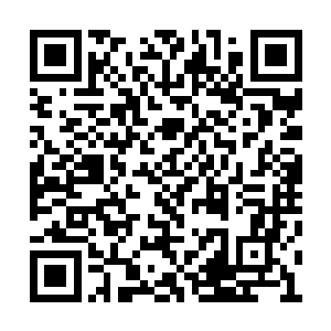 我们不知杨东风到底把小老大看作多重要的朋友二维码生成