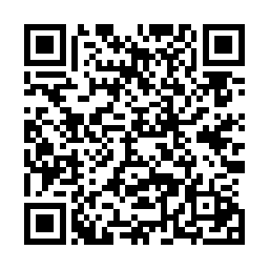 我们两家内城每一年就拍卖一次张道友炼制的六转七阶灵丹二维码生成
