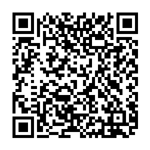 我们也可以帮助仙家从优秀散仙里挑出一些精英来帮忙治理这些活跃小世界二维码生成