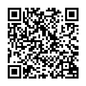 我们从议会带来了专门用于搜查城市内潜伏血族的装置二维码生成