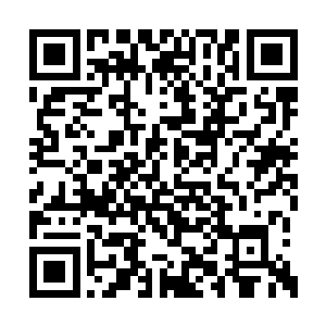 我们刚才往前找了上万名都没找到林少侠的名字二维码生成