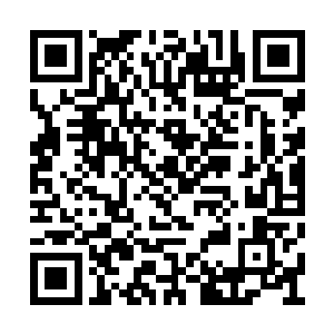 我们又进入了合作和参详内仙海玉琮的事情之中二维码生成