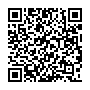 我们可以将圣盟人充实到帝国腐朽的官僚体系中二维码生成