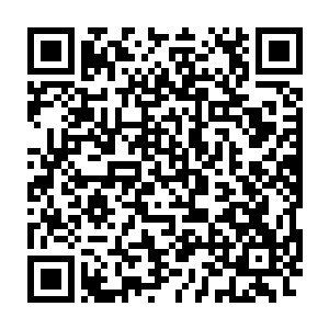 我们品尚也希望能为贵公司设计出最完美也最能展现富瑞风格的宣传二维码生成