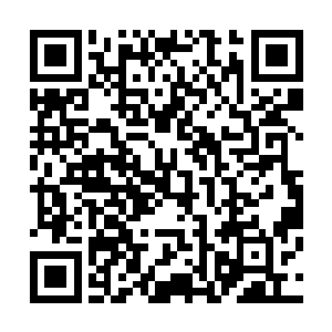 我们国家的文物回归和打击走私文物可能会取得更大的成就二维码生成