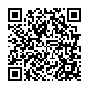 我们完成这次任务之后能拿到一个钻石矿二十年的开采权二维码生成