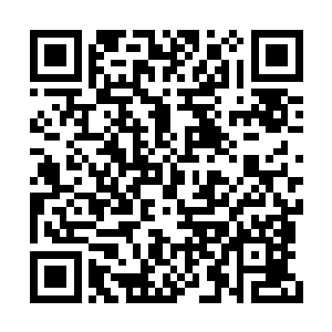 我们就像是一群被关在一座山上互相猎杀的野兽二维码生成