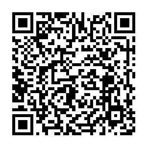 我们就可以很快的为您办理好成为神圣金兰花帝国国民的身份手续二维码生成
