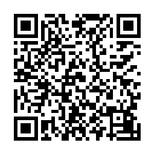 我们已经击杀了三个完全体母巢以及十二个的成熟体母巢二维码生成