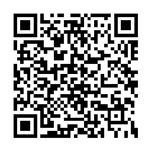 我们根本不敢表露出对三世轮回果有任何的想法二维码生成
