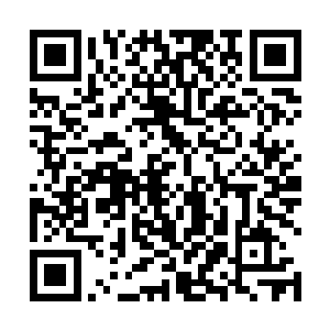 我们正在顺藤摸瓜希望能把萧快雨及其追随者一网打尽二维码生成
