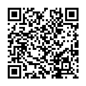 我们法务部经受这份材料具体条款的就两三个职员二维码生成